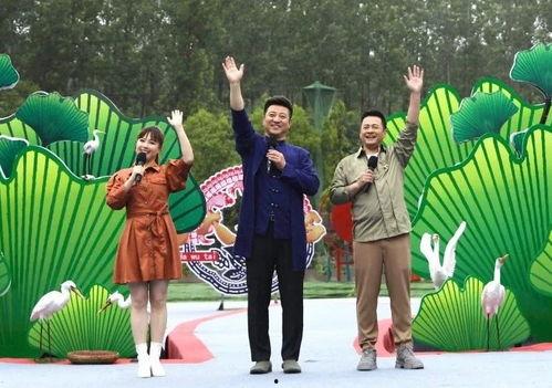 戈雅最新爆料新闻视频,揭秘娱乐圈惊人内幕